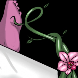 tomembed3